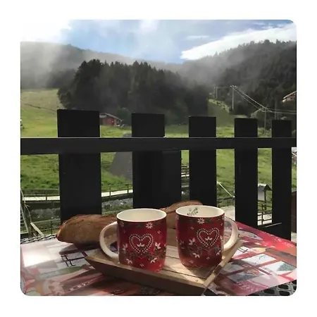 Apartment 4 Couchages Vue Sur Les Pistes *